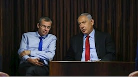 בנימין נתניהו יריב לוין